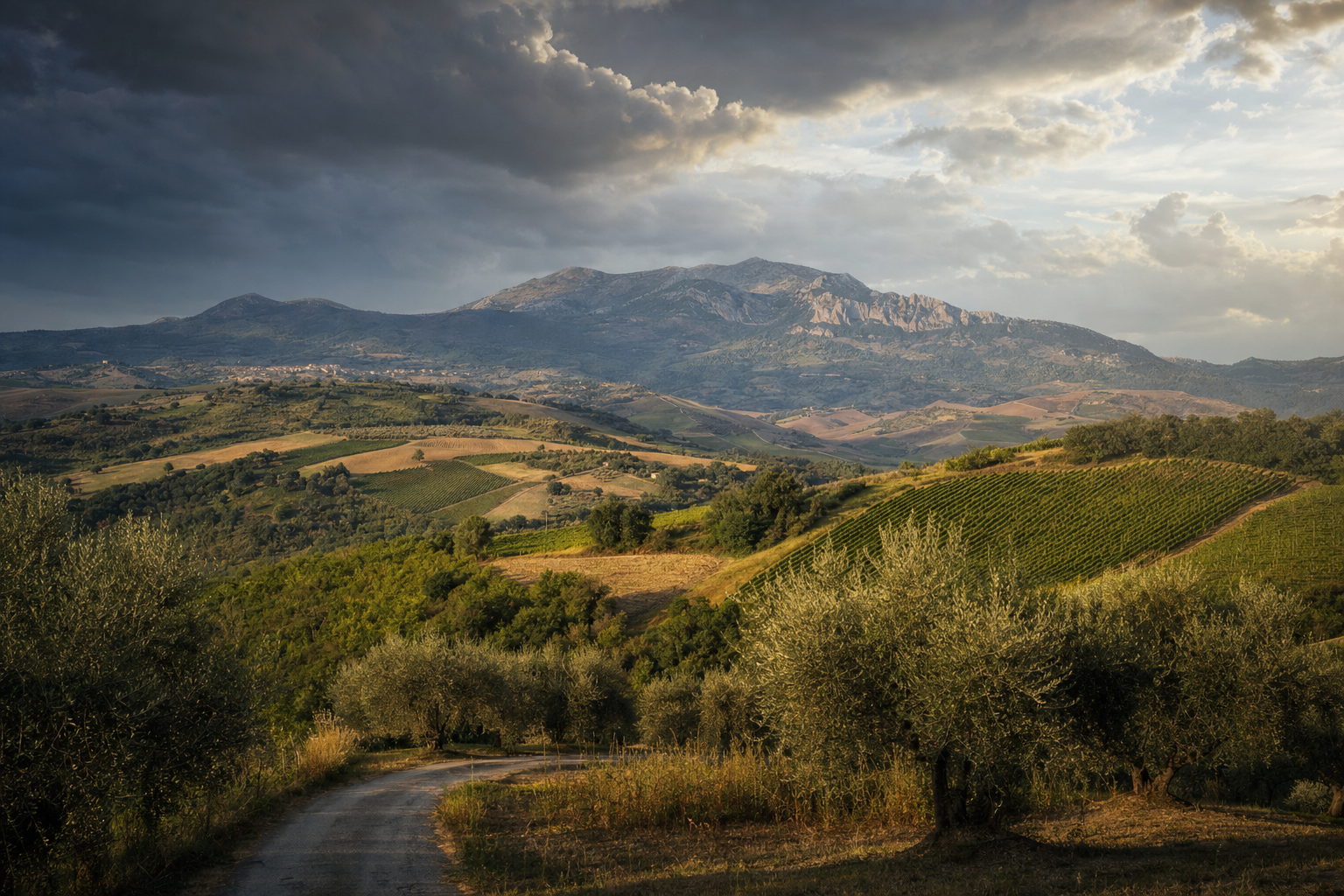 Glooiende Italiaanse heuvels met olijfbomen en akkers, een smalle landelijke weg, bergen in de verte en wolken waar warm zonlicht doorheen valt.