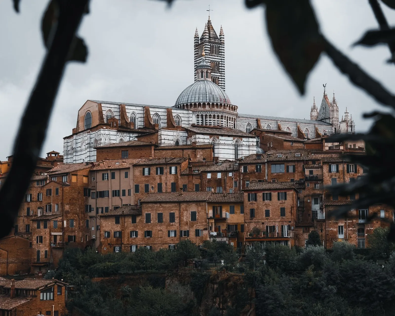 Cattedrale di Santa Maria Assunta in Siena